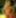 Shyla Stylez
