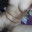 Emmadeshivideos