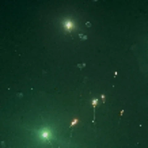 Interracial couple 3