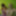 Sisa ondrej