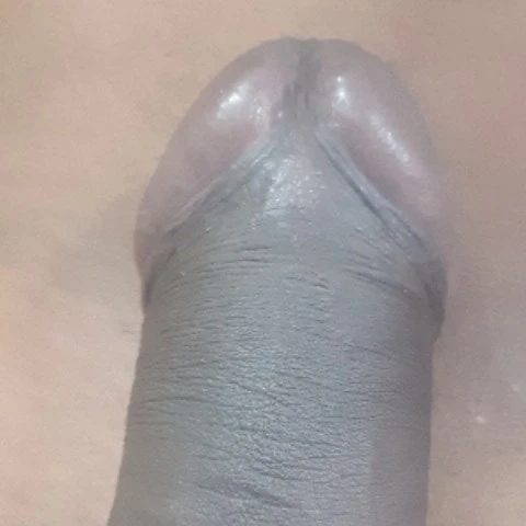 Kammymat456