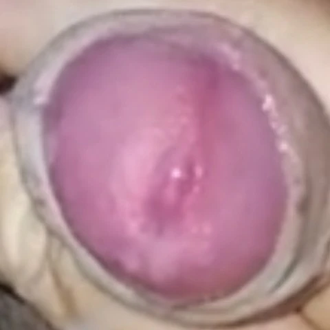 Meiteilang