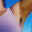 Eva_Roose