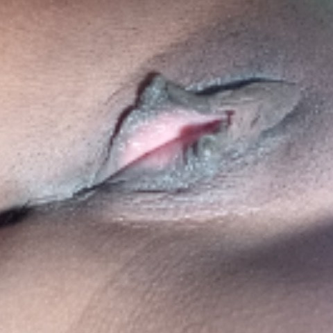 Catlana_43