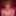 Ladlush