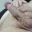 KingDaddy981