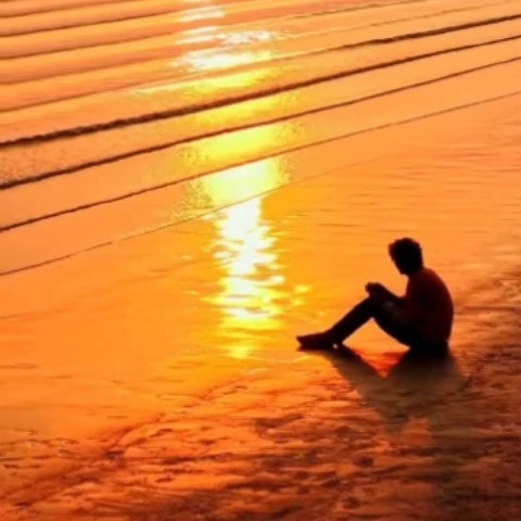 PAVEL GOMES 