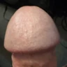 Todd M