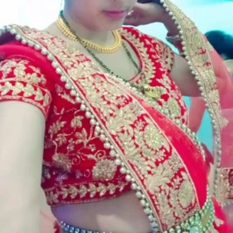 Desi Land