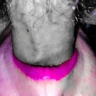 Sensual Sounds
