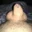 TinyDick