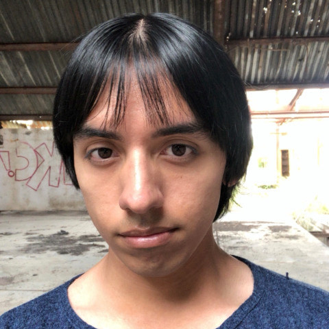 Miguelo Sanz