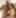 Lexington Steele