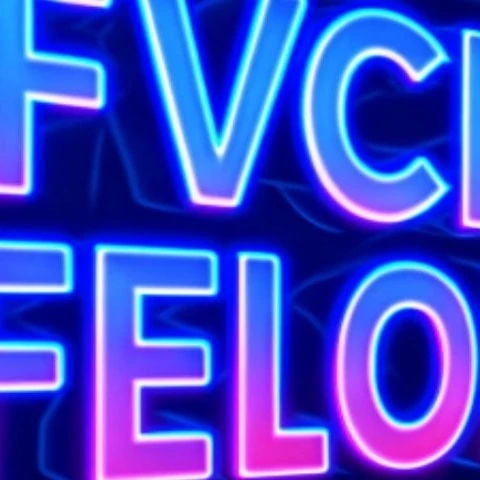 Fuvk Felon 