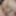 CloseUpFantasy