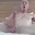 Cockshowy