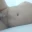 Andi88neu