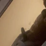 Bigunk