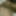 SPK_84