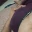 Darcel 