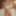 LinaSexStories