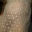 Fat Villi