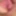 Clit Bby