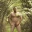 Pawel Pyton