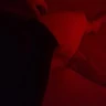 DirktheBear