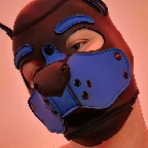 Pup FFei