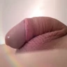 Jocker's Cock
