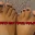 Harvester of soles