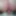 HornyRibbon30