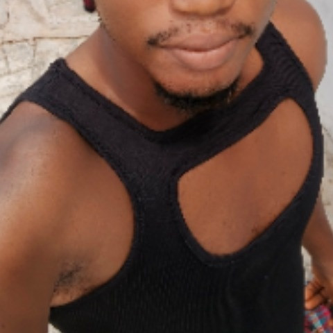 Thelittle_brown