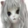 Cat_works