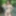 Chisato Shoda