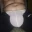 Pumilla