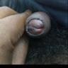 RobinH