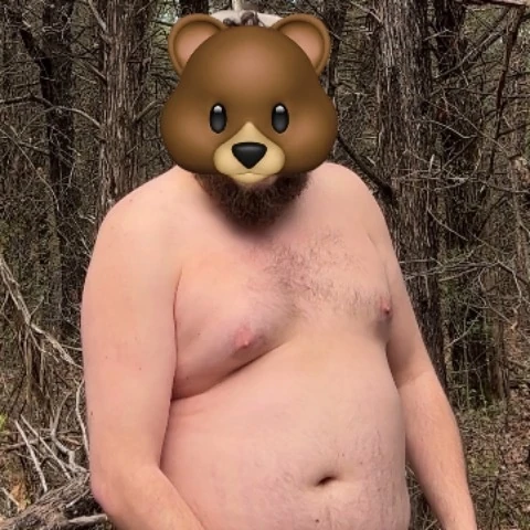 BisonCub
