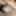 Reena_115