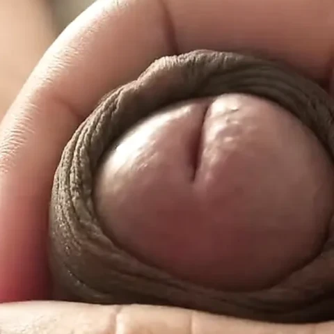 Horny Digger