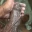 BLK_KING