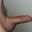 Shanestick1