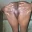 shapemodel