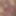 Tinyboydick