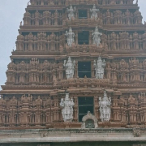 Dhanesh dhanu
