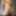 Viral Videos 