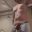 TomQuinn19