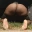 Wett Bootii