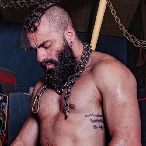 The Bearded Master